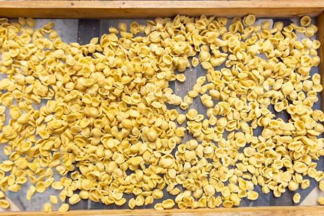 Bari, colore e forma: ecco come distinguere le orecchiette fatte a mano da quelle industriali